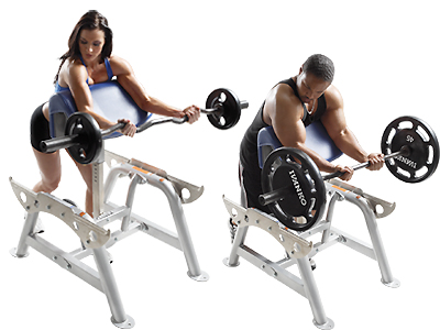 Standing Preacher Curl_CF-3555 image.jpg